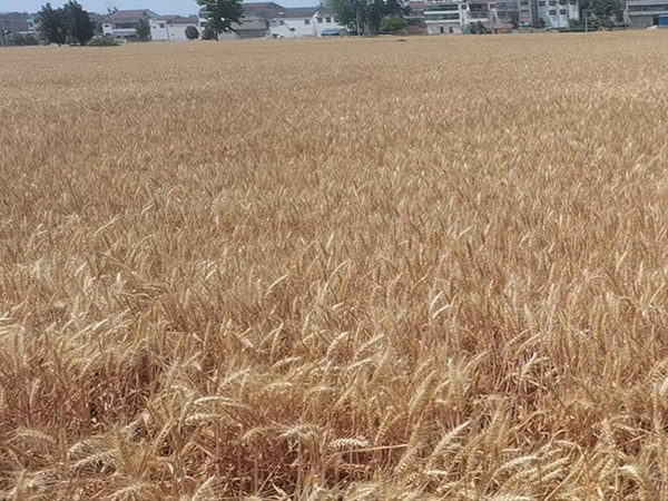 握别五月，，，，，，迎接六月的美好